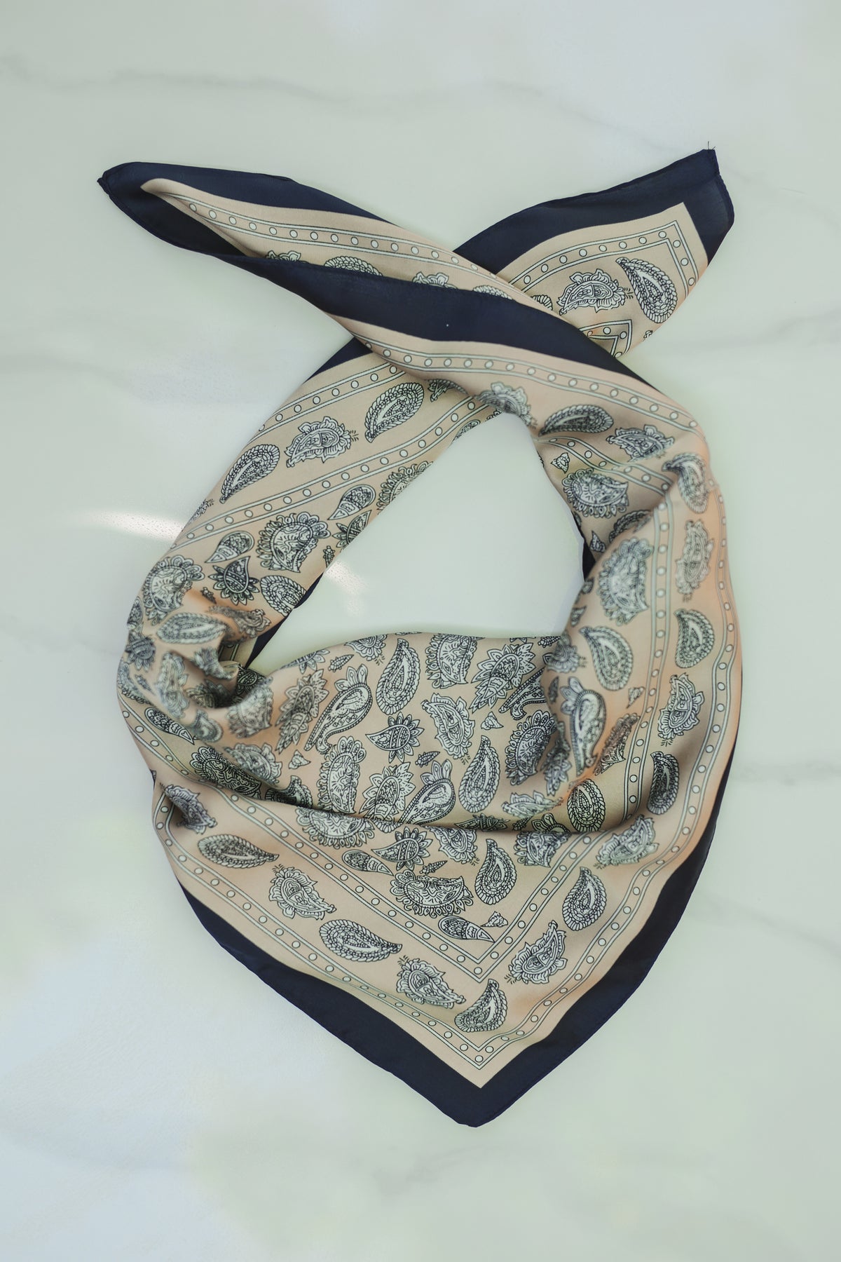 Classic Paisley Border Scarf – Navy & Sand