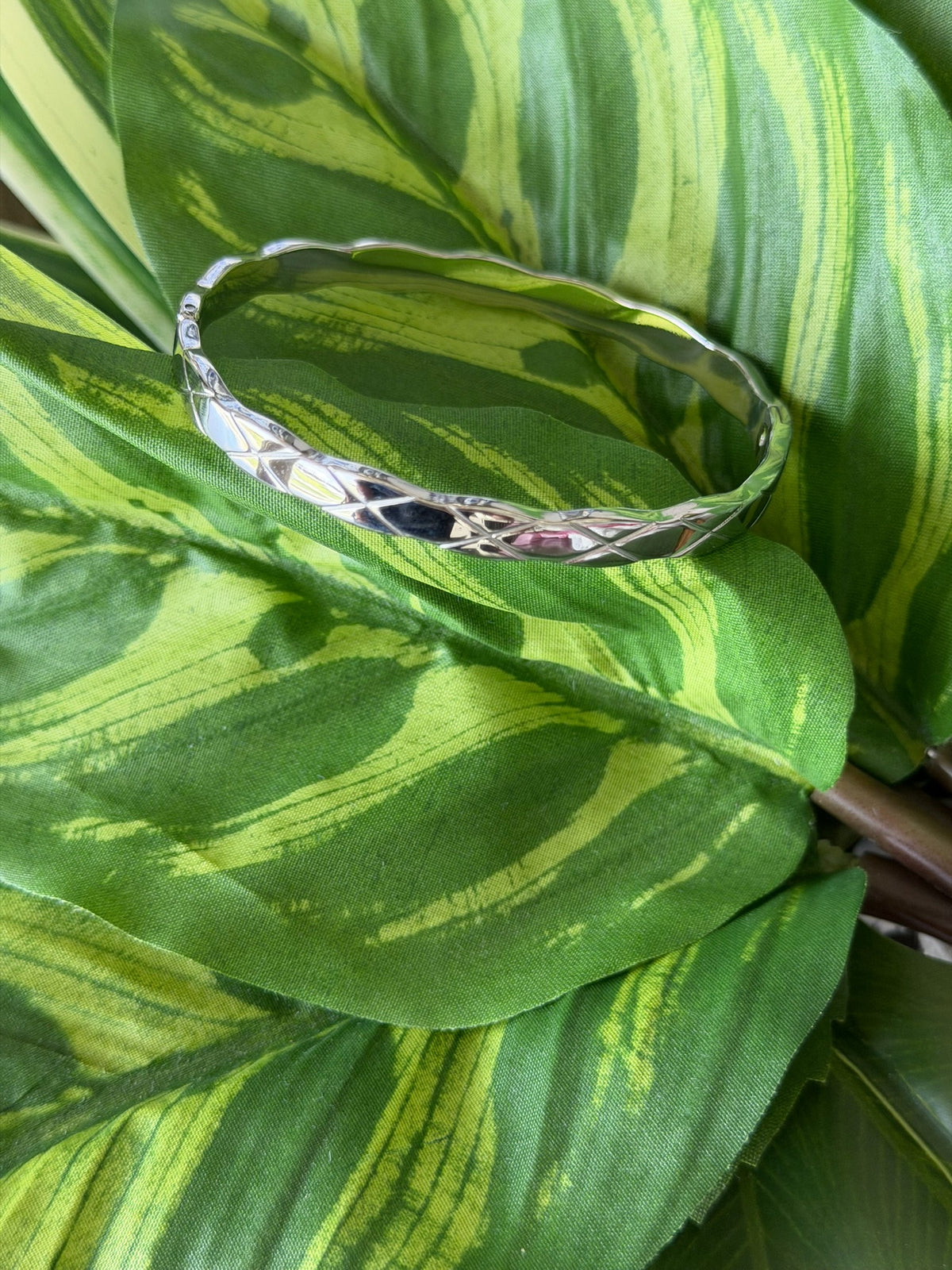 Silver bracelet on a leafy green background