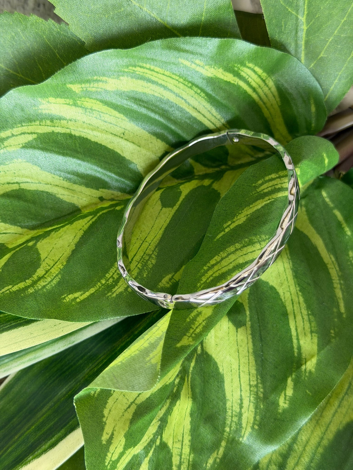 Silver bangle on a green leafy background