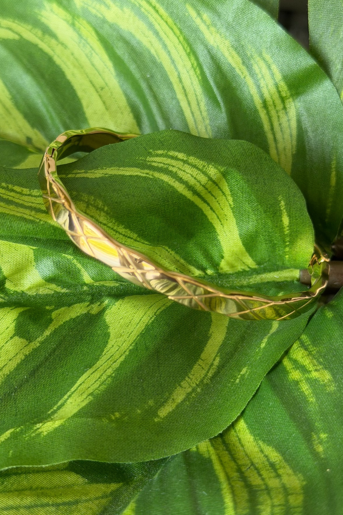 Close-up a gold bangle on a green leaf with yellow veins